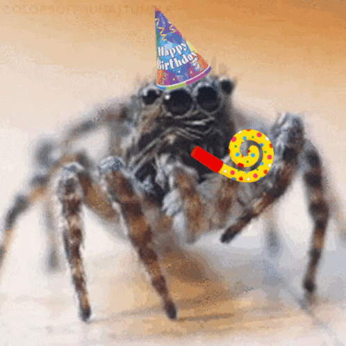 Spider In Party Hat Saying Happy Birthday GIF