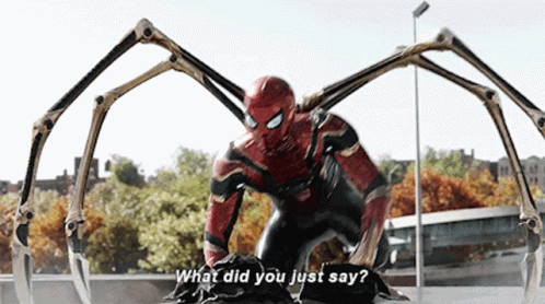 Spider Man No Way Home What Did You Say GIF