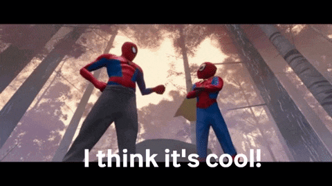 Spider Man Spider Verse Gif GIF