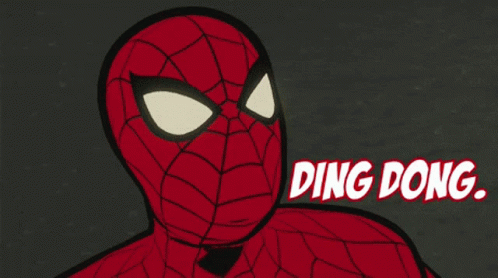 Spider Man Wrong Opinion GIF