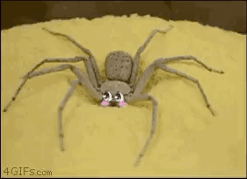 Spider on Sandpile with Smiley Face