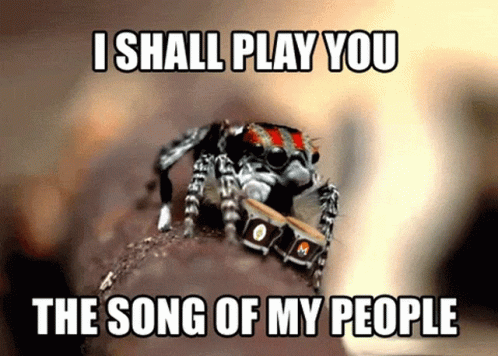 Spider Playing Drums Song of My People