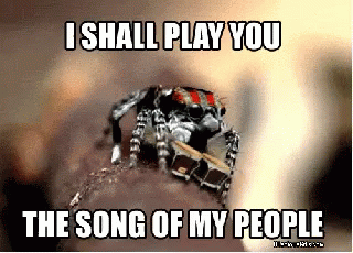 Spider Saying I Shall Play You Song