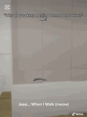 Spider Silhouetted Saying Why Banned Roblox Me