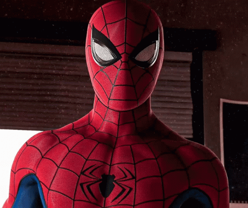 Spiderman Costume With Spider on Chest