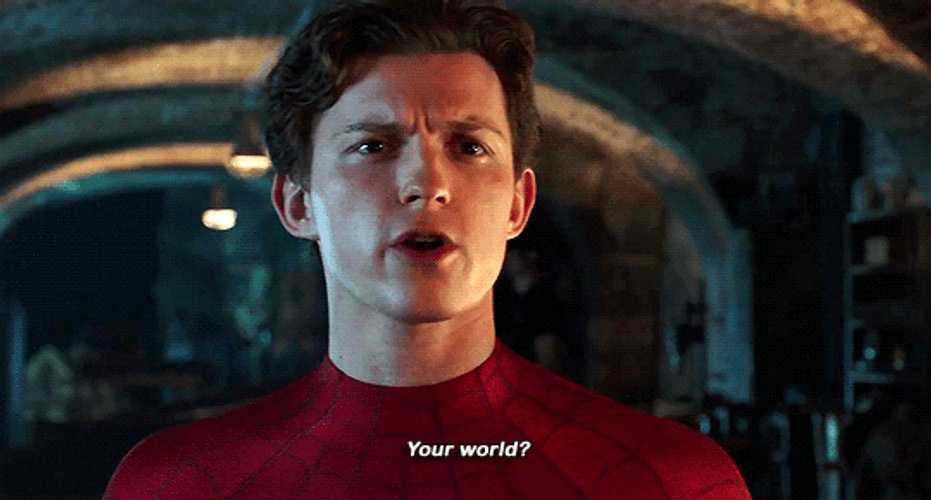 Spiderman No Way Home Your World? GIF