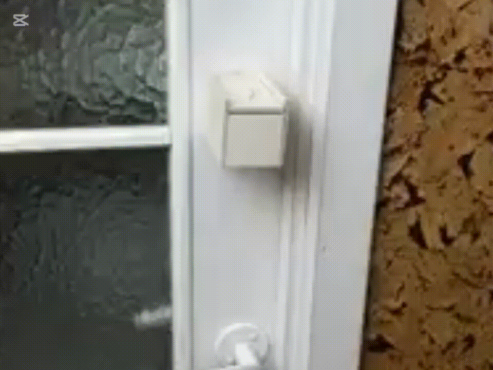 Spiders Jumping And Dropping GIF