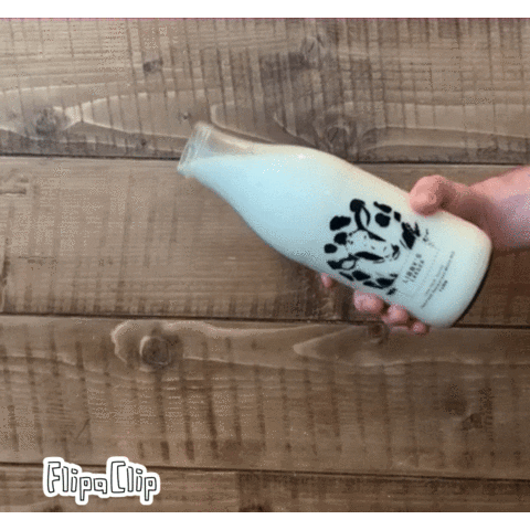 Spilling Moo Milk GIF