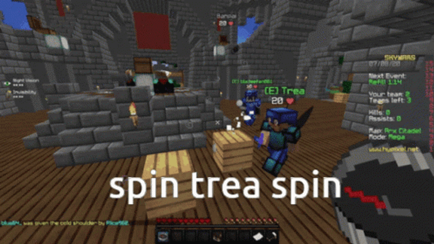 Spin Trea Spin Minecraft Gameplay Meme GIF