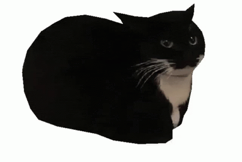 Spinning Cat Dancing Meme GIF