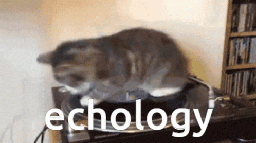 Spinning Cat Echology GIF