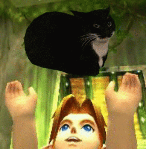Spinning Cat Floating On Air Boy Below GIF