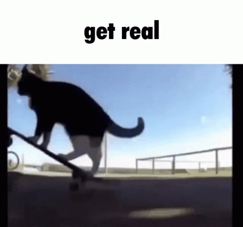 Spinning Cat Get Real GIF