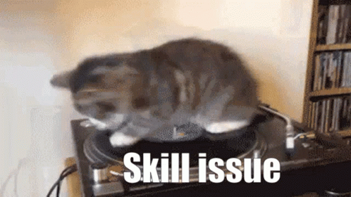 Spinning Cat Skill Issue GIF