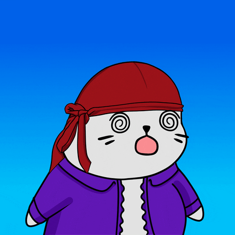 Spinning Dizzy Seal GIF