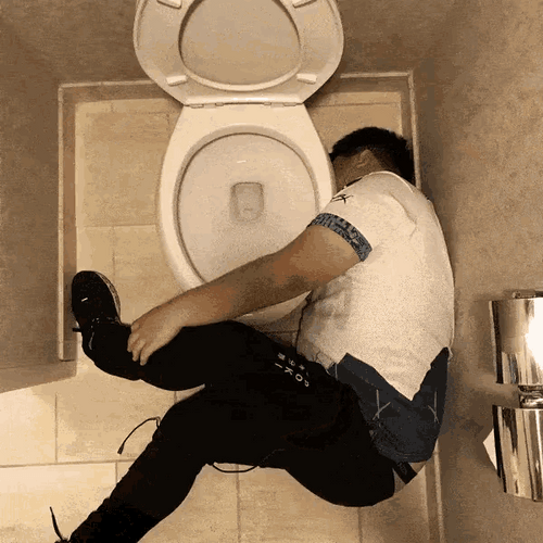 Spinning Drunk In Toilet GIF
