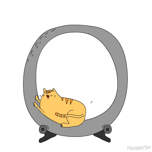 Spinning Fat Cat Cartoon GIF
