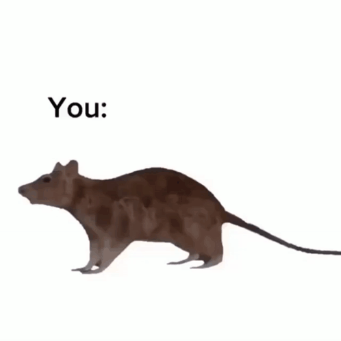 Spinning Fish And Mouse Meme GIF