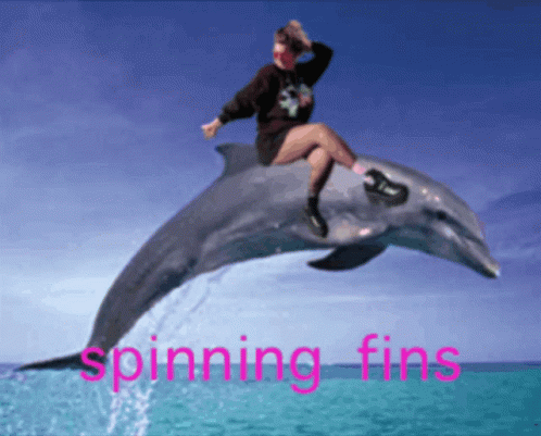 Spinning Fish Fin Airborne Dolphin GIF