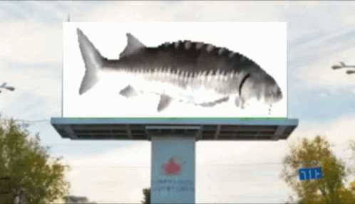 Spinning Fish Giant Billboard GIF