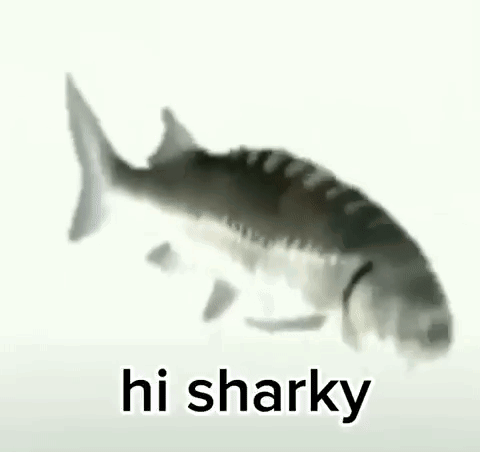 Spinning Fish Hi Sharky Meme GIF