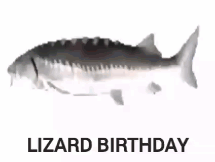 Spinning Fish Lizard Birthday Parody GIF