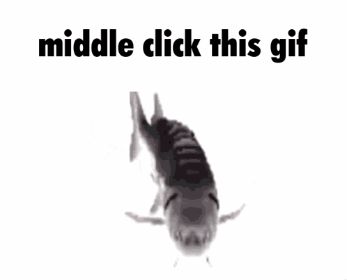 Spinning Fish Middle Click Meme GIF