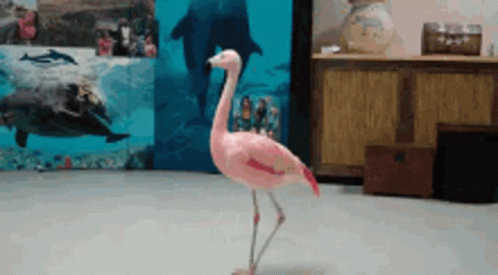 Spinning Flamingo GIF