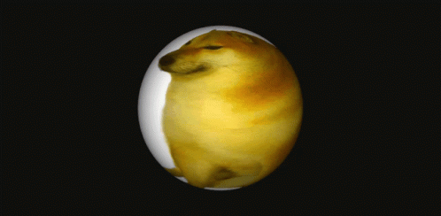 Spinning Globe Cheems Dog GIF