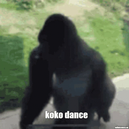 Spinning Gorilla Dancing GIF