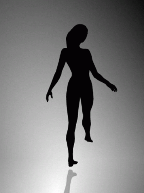 Spinning Lady Silhouette Optical Illusions GIF