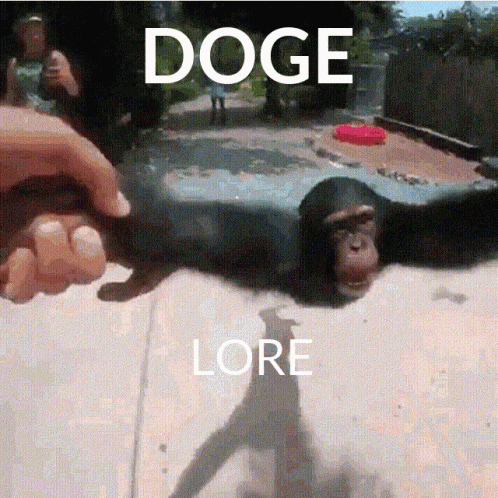 Spinning Monkey Doge Coin Meme GIF