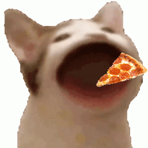 Spinning Pizza Cat Munching In GIF