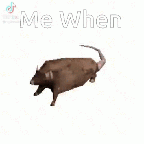 Spinning Rat Me When Meme GIF