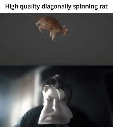 Spinning Rat Youtuber Reaction Face Swap GIF