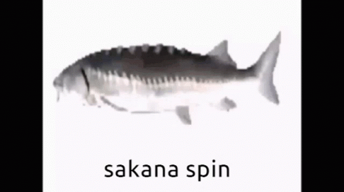 Spinning Sakana Fish White Background GIF