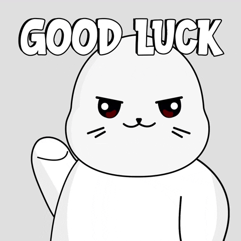 Spinning Seal Good Luck GIF