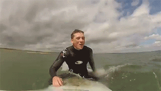 Spinning Seal On Surf Board GIF