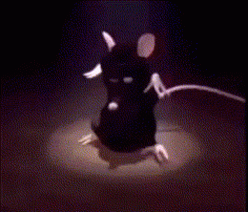 Spinning Tail Black Rat Dancing GIF