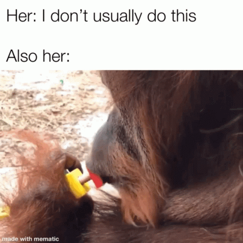 Spinning Toy By Mouth Smart Monkey GIF