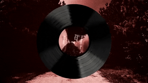Spinning Vinyl Mercury Rev Norah Jones GIF