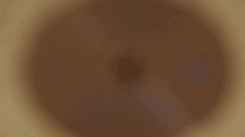 Spinning Vinyl Signature Things GIF