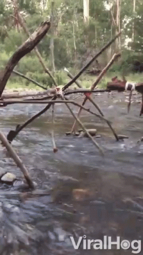 Water Device Spinning Wheel GIF