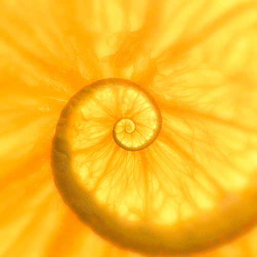 Spiral Orange Aesthetic GIF