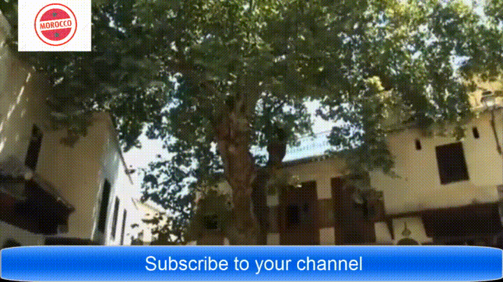 Spiritual Collection Religious Souvenirs GIF