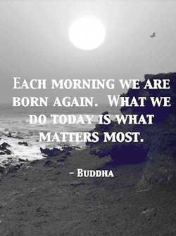 Spiritual Quote Born Again Buddha GIF
