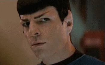 Spock Eye Brow Raise GIF