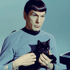Spock Holding A Black Cat GIF