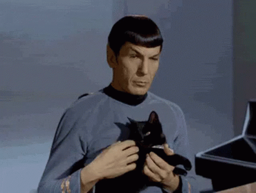 Spock Petting Kitty Black Cat GIF