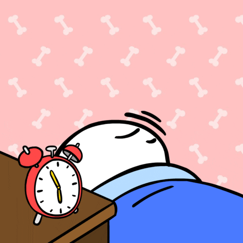 Spoiled Rabbit Waking On Alarm GIF